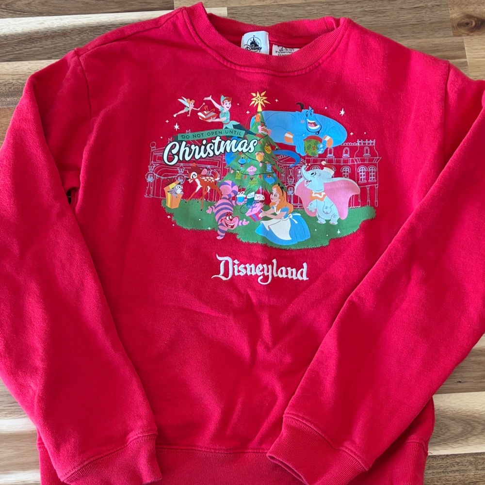 Disney Red Kids Christmas Disneyland Sweatshirt